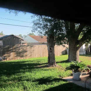 Spacious Yard with Mature Oak Tree